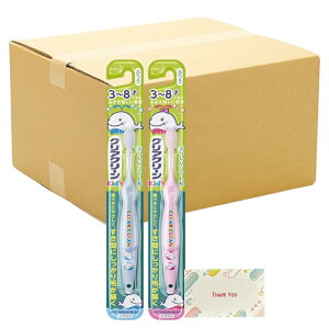 NAN[ LbYnuV 3~8ˌ + KunutonnIWiSe܂t