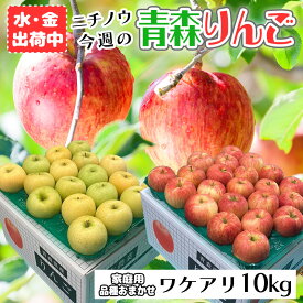 今週のニチノウ訳あり林檎 10kg 【小玉】46～56玉 青森 りんご 家庭用 10キロ 送料無料 品種おまかせ 産地直送 リンゴ 林檎 通販 お取り寄せ ワケアリ ワケあり トキ 早生ふじ 弘前ふじ サンふじ 王林 シナノゴールド 赤りんご 青りんご 即納 母の日