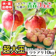 今週のニチノウ訳あり林檎 10kg 【超大玉】22～28玉 青森 りんご 家庭用 10キロ 送料無料 品種おまかせ …