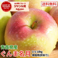 【レビューで500円】青森県産 ぐんま名月 3kg 5kg 10kg 訳あり 青森県産 りんご 送料無料 産地直送