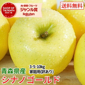 【レビューで500円】青森県産 りんご シナノゴールド 3kg 5kg 10kg 訳あり 送料無料 産地直送