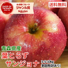 【レビューで500円】青森県産 りんご 葉とらずサンジョナ 訳あり 3kg 5kg 10kg 訳あり 送料無料 産地直送