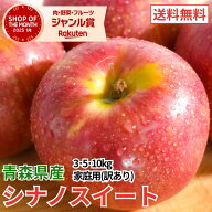 青森 りんご シナノスイート 訳あり 3kg 5kg 10kg ワケアリ 青森県産 りんご 送料無料 リンゴ 林檎 シナ…