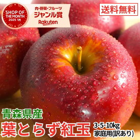 【レビューで500円】青森県産 葉とらず 紅玉 3kg 5kg 10kg 訳あり 青森県産 りんご 送料無料 産地直送