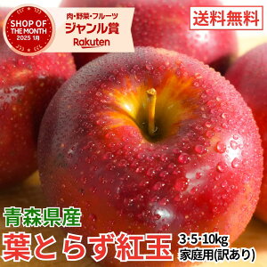 XY tƂ炸 g 3kg 5kg 10kg 󂠂 XY   Yn