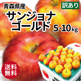 青森 りんご サンジョナゴールド 訳あり 5kg 10kg 5キロ箱 10キロ箱 ワケアリ 青森県産 りんご 送料無料 リンゴ 林檎 サンジョナゴールド サンジョナ ジョナゴールド ジョナ お買い得 まとめ買い 人気 青森県産 青森 もぎたて ジューシー 産直 産地直送 りんご サンジョナ