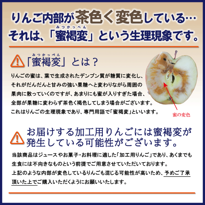 りんご　出品 楽天市場】りんご（総個数36 ～ 47個入り）（フルーツ・果物
