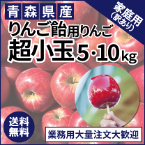 楽天市場】りんご飴 青森の通販