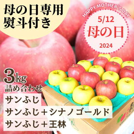 【母の日限定】贈答用りんご 青森産 サンふじ 王林 シナノゴールド 3kg 青森県産 りんご 送料無料 サンフジ 産地直送 リンゴ 林檎 通販 お年賀 ご挨拶 土産 お祝い 内祝い お返し お歳暮 ギフト 贈呈 人気 青森県産 りんご プレゼント りんごジュース 秀品 熨斗 のし 母の日