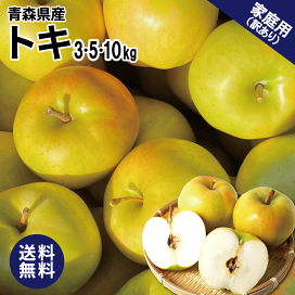 青森 りんご 10kg箱 訳あり/家庭用 サンふじ クール便対応
