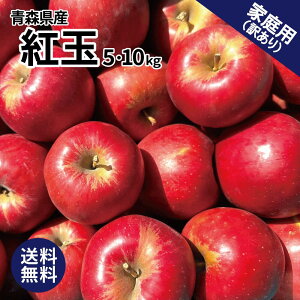 X  g 5kg 10kg 5L 10L 󂠂 XY   S ь g 傭  ܂Ƃߔ lC XY Y Yn 10L َq AbvpC 