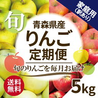 【旬の定期便♪】青森県産 りんご 5kg 5キロ箱 訳あり 家庭用 送料無料 リンゴ 林檎 お買い得 まとめ買い…