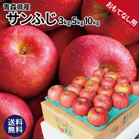 贅沢 おもてなし用 りんご 青森産 サンふじ 3kg 5kg 10kg 送料無料 産地直送