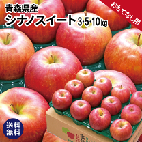 ル 年末のプロモーション 楽天市場】ぐんま名月 10kgの通販 果物