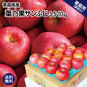 シナノゴールド 10kg (訳ありの人気商品・通販・価格比較 - 価格.com シナノゴールド 10kg (訳ありの人気商品・通販・価格比較 - 価格.com
