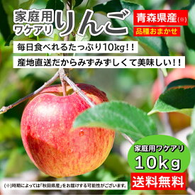 今週のニチノウ訳あり林檎 10kg 【小玉】46～60玉 青森 りんご 家庭用 10キロ 送料無料 品種おまかせ 産地直送 リンゴ 林檎 通販 お取り寄せ ワケアリ ワケあり トキ 早生ふじ 弘前ふじ サンふじ 王林 シナノゴールド