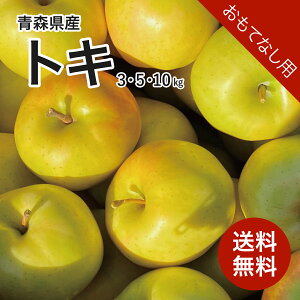 XY  gL 3kg 5kg 10kg ĂȂp  Yn