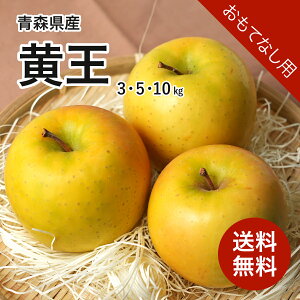 XY   ĂȂ 3kg 5kg 10kg  Yn