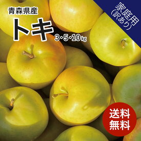 青森県産 りんご トキ 3kg 5kg 10kg 訳あり 送料無料 産地直送