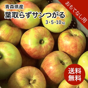 XY  t炸T 3kg 5kg 10kg ĂȂp  Yn