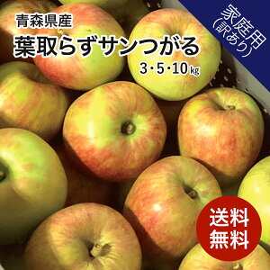 XY  t炸T 3kg 5kg 10kg 󂠂  Yn