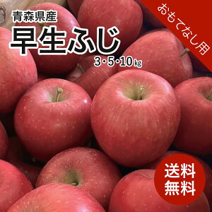 y9{\zXY ӂ 3kg 5kg 10kg ĂȂp  Yn