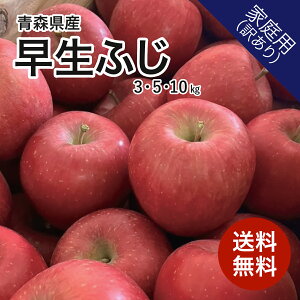 y9{\zXY ӂ 3kg 5kg 10kg 󂠂  Yn