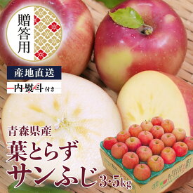 贈答用 青森産 りんご 葉とらずサンふじ 3kg 5kg 葉乃果 送料無料 産地直送 お歳暮 ギフト