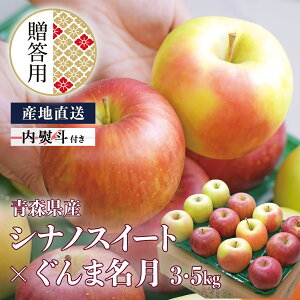 y11{\zp XY  VimXC[g×ܖ 3kg 5kg Yn  Mtg