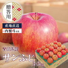 贈答用 青森県産 りんご サンふじ 3kg 5kg 送料無料 ギフト