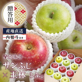 贈答用 青森県産 りんご サンふじ×王林 3kg 5kg 産地直送 送料無料 ギフト