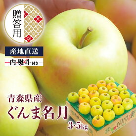 贈答用 青森県産 りんご ぐんま名月 3kg 5kg 産地直送 送料無料 ギフト