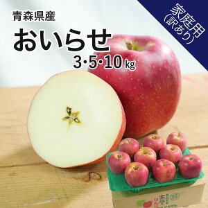 XY  点 3kg 5kg 10kg 󂠂  Yn