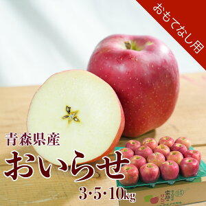 XY  点 3kg 5kg 10kg ĂȂp  Yn