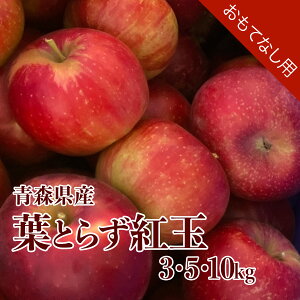 XY tƂ炸 g 3kg 5kg 10kg ĂȂp XY   Yn