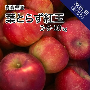 XY tƂ炸 g 3kg 5kg 10kg 󂠂 XY   Yn