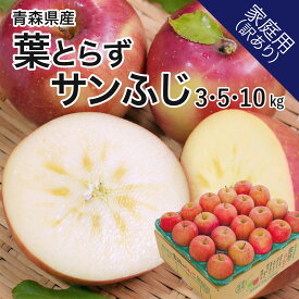【レビューで500円】青森産葉とらずサンふじ 家庭用訳あり 2kg~10kg 葉乃果 送料無料 産地直送 りんご