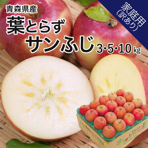 y12{\zƒp󂠂 XY  tƂ炸Tӂ 3kg 5kg 10kg tT  Yn