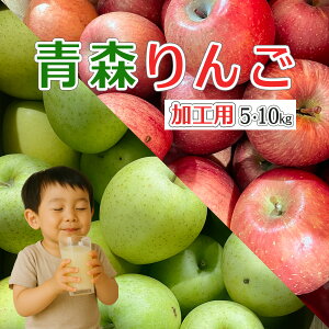 XY Hp  5kg 10kg   i킨܂ Yn 󂠂