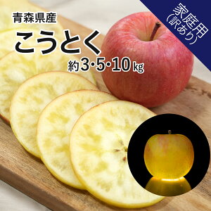 XY Ƃ ƒp󂠂 3kg 5kg 10kg  Yn 