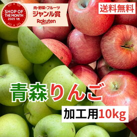 青森県産 加工用 りんご10kg 送料無料 激安 品種おまかせ 産地直送 訳ありりんご