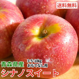 青森 りんご シナノスイート おもてなし 3kg 5kg 10kg 青森県産 りんご 送料無料 リンゴ 林檎 シナノスイート シナノ お買い得 まとめ買い 人気 青森県産 青森 もぎたて ジューシー 産直 産地直送 りんご シナノスイート 甘い 甘い りんご シナノスイート