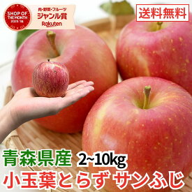 【レビューで500円】家庭用訳あり 青森産 小玉葉とらずサンふじ 2kg 3kg 5kg 10kg 葉乃果 りんご 送料無料 産地直送