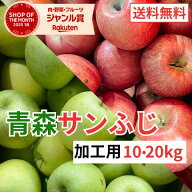 【レビューで500円】青森県産 加工用 りんご10,20kg 送料無料 激安 品種おまかせ 産地直送 訳ありりんご