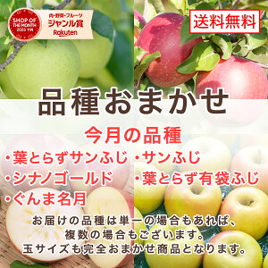 りんご 10kg 送料無料」の人気商品一覧・価格比較 - 価格.com