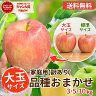 【最安値挑戦】大玉青森りんご 家庭用 10キロ 送料無料 品種おまかせ 産地直送 リンゴ 林檎 通販 お取り…
