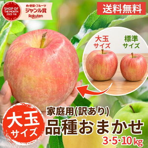 【最安値挑戦】大玉青森りんご 家庭用 10キロ 送料無料 品種おまかせ 産地直送 リンゴ 林檎 通販 お取り寄せ ワケア