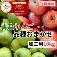 青森県産加工用りんご 品種おまかせ 10kg 送料無料