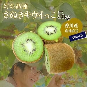 y11{\z쌧Y LEC ʂLEC R 󂠂 5kg iN[ցjYn 