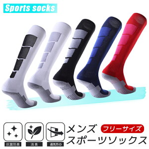 YX|[cnC\bNX t[TCY nC\bNX C X|[c\bNX ̓ Y j TbJ[\bNX TbJ[ tbgT oXPbg{[